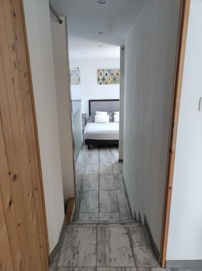 Appartement Abadie Баньер-де-Бигор Экстерьер фото